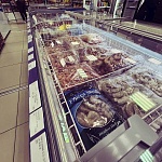 Xcrab (Икс краб) (превью) - 6